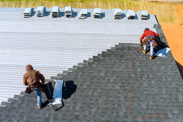 Best Storm Damage Roof Repair  in South Haven, IN